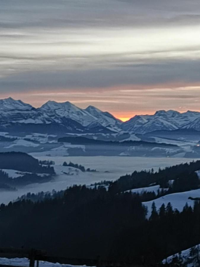 Barnsicht Panorama Hotel Wasen Luaran gambar